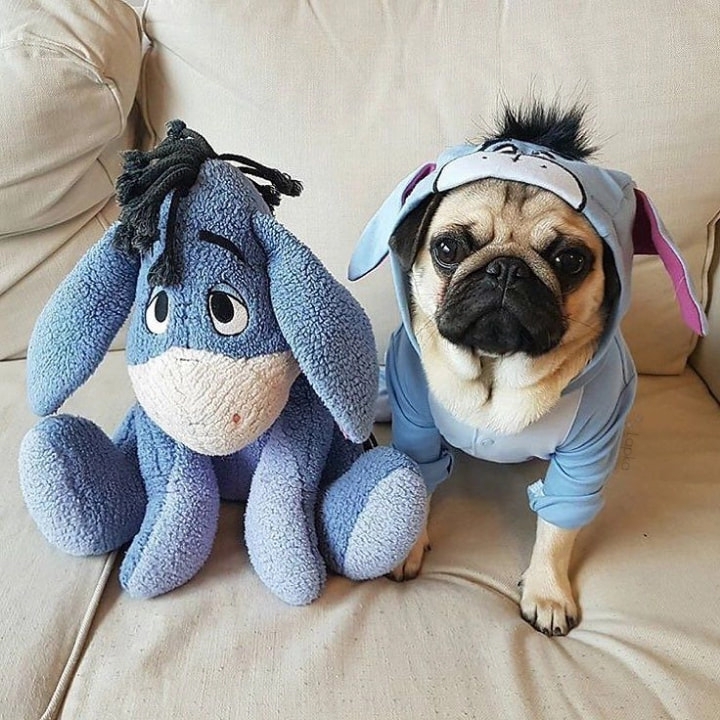 лк
