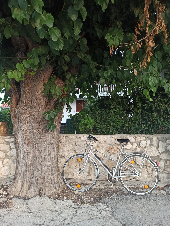 bike