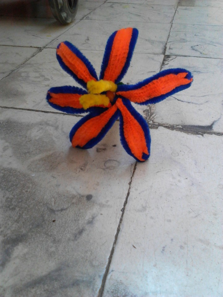 Florecita