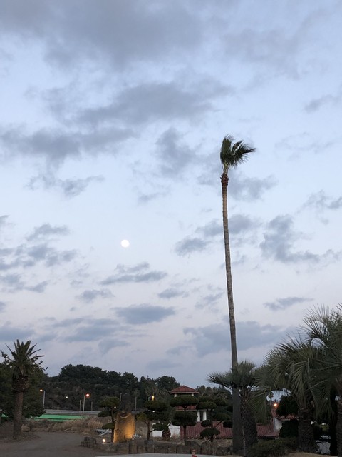 제주