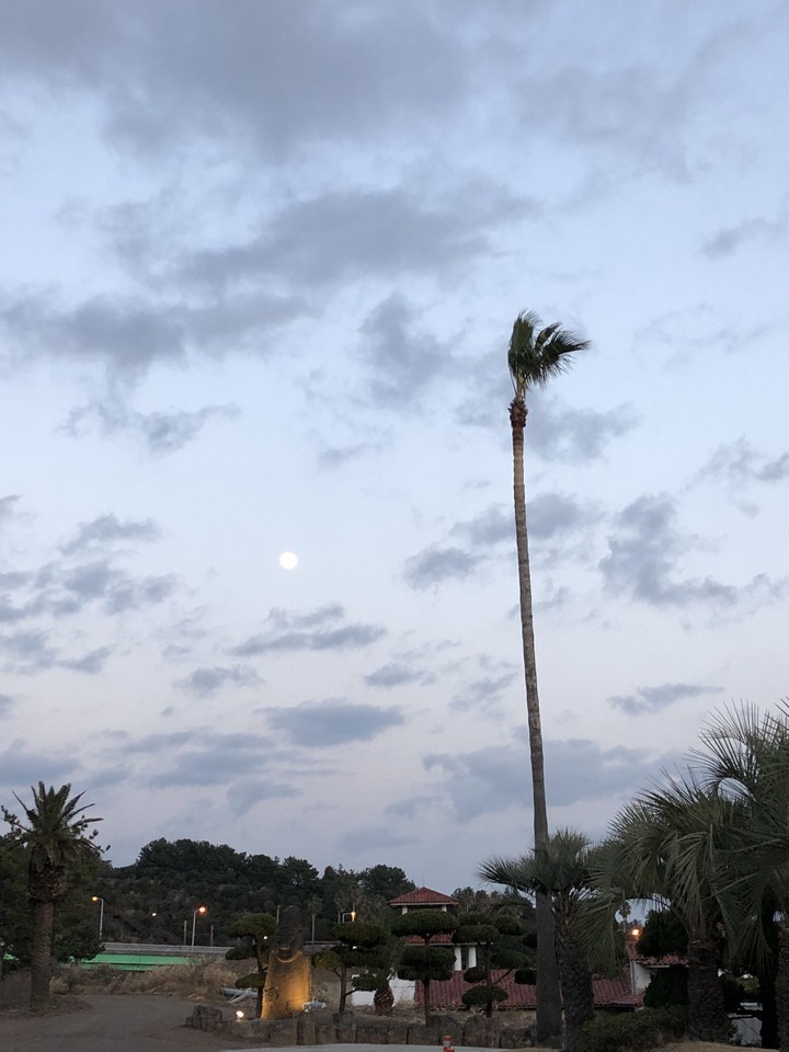 제주