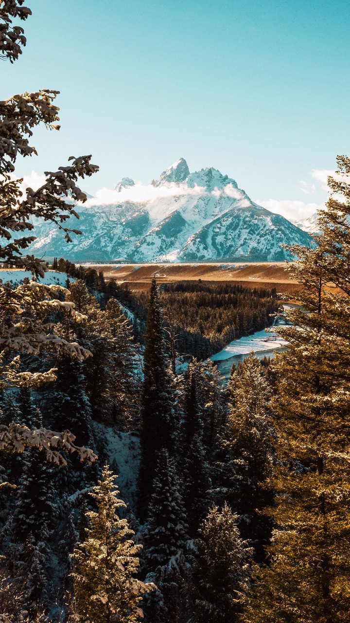 The beauty of nature