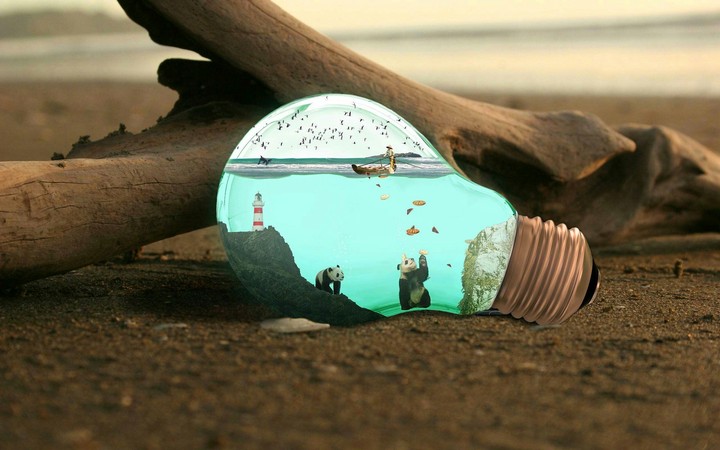 Bulb