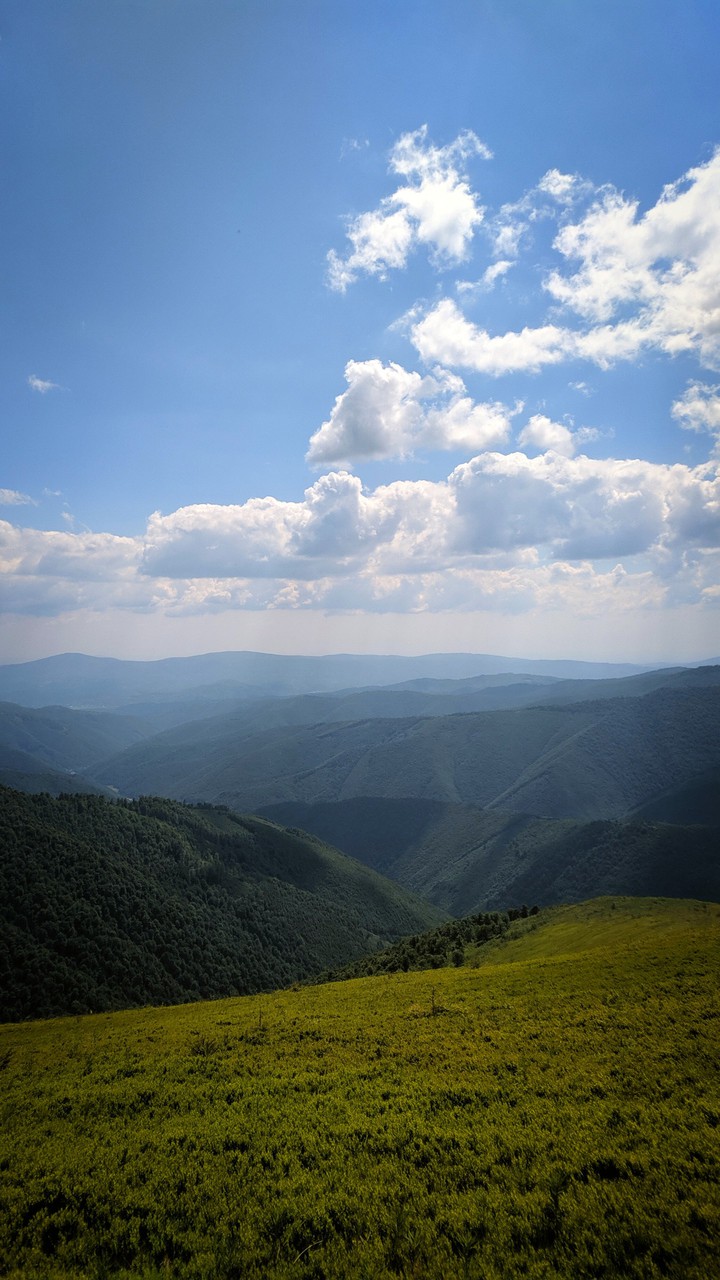 nature