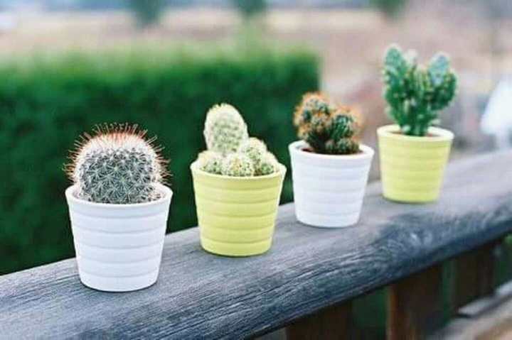 ❤❤❤
