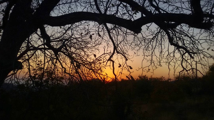 sun set