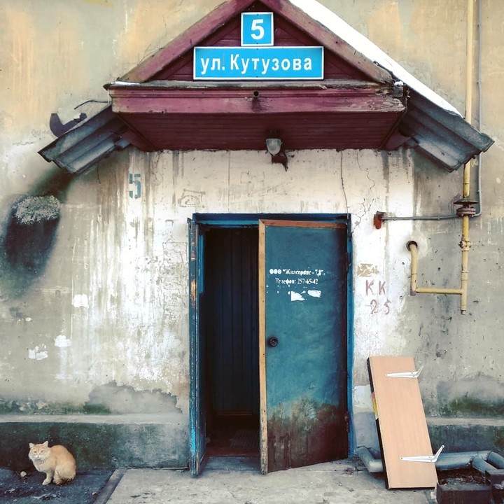 Cat & door