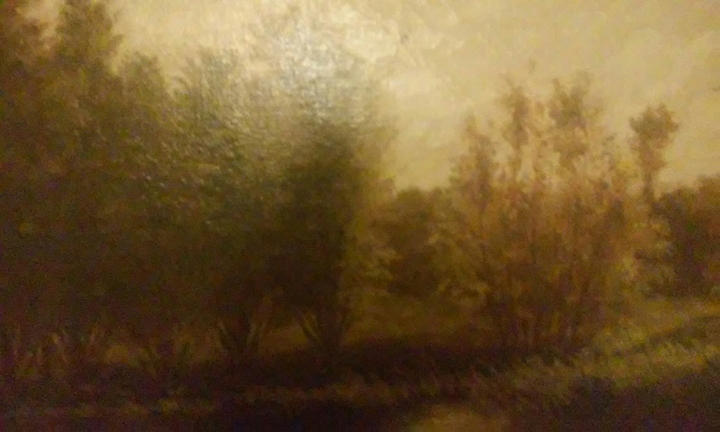 Forest of dark
