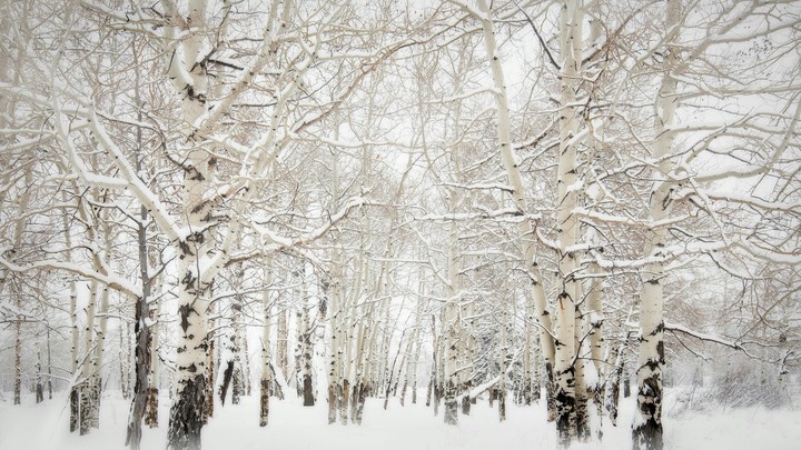 winter