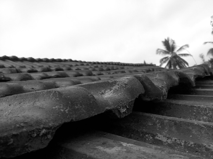 Roofs