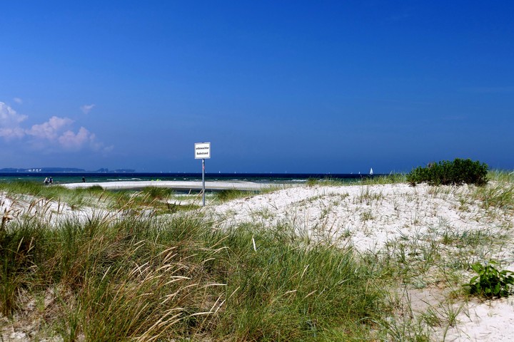 laboe