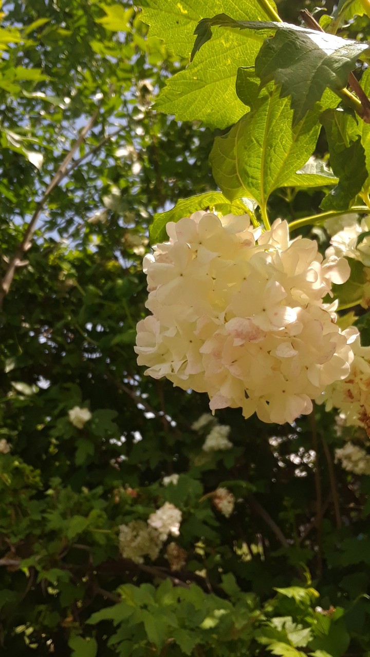 just a little bit of summer