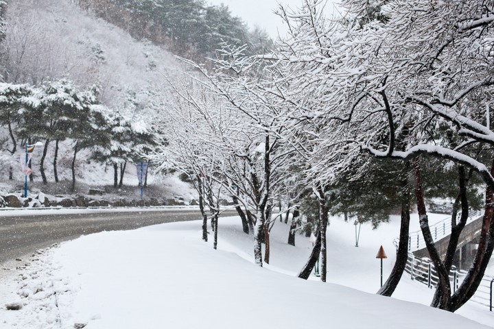 풍경이미지