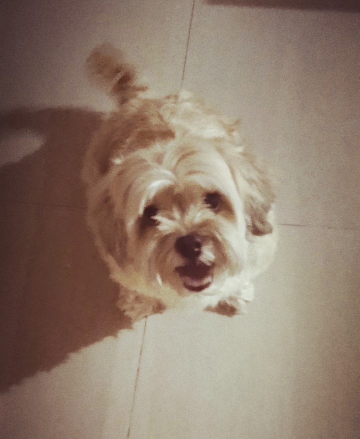 My Baby Girl