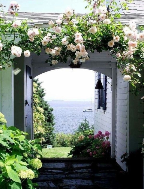 beautiful view