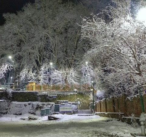 snow in winter