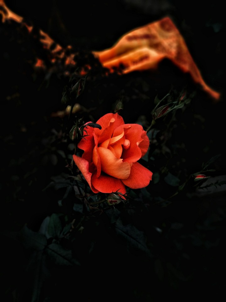 beauty hidden inside us