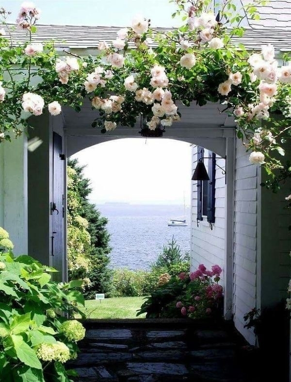 beautiful view