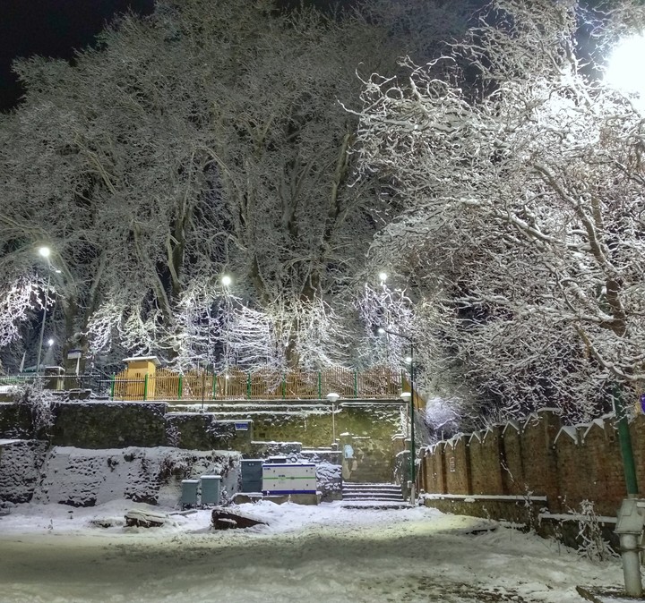 snow in winter