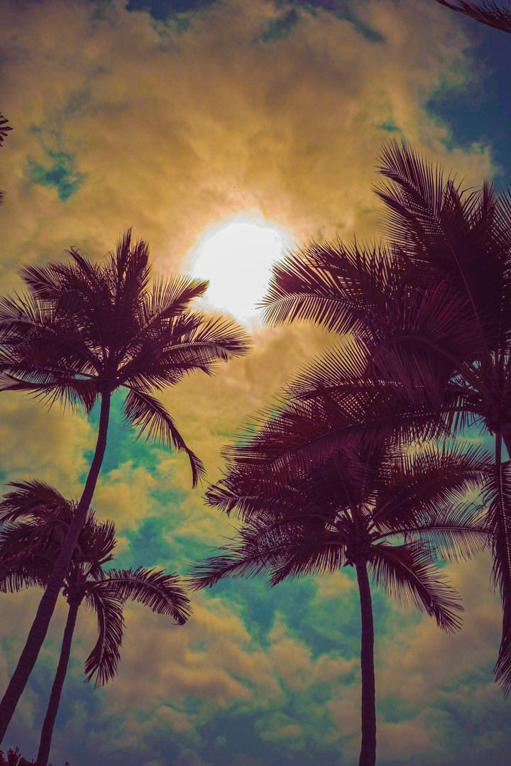 coconut