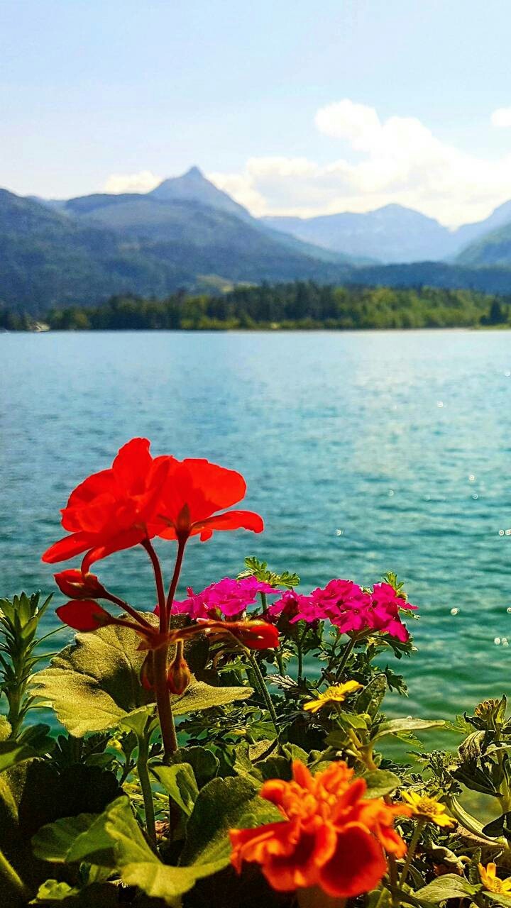 nature