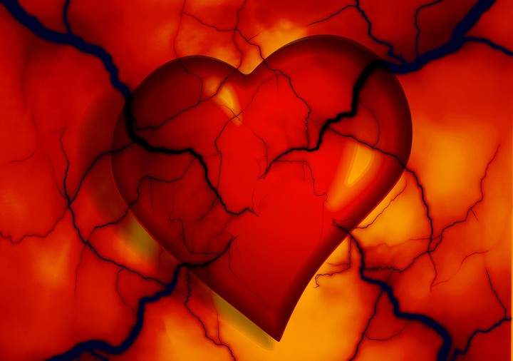 Heart