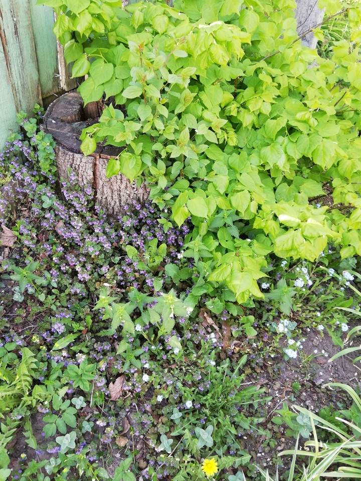 Awesome corner