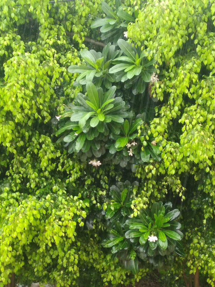 When it rains...
