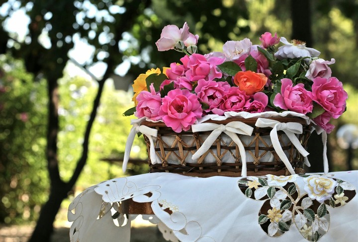 Flowers