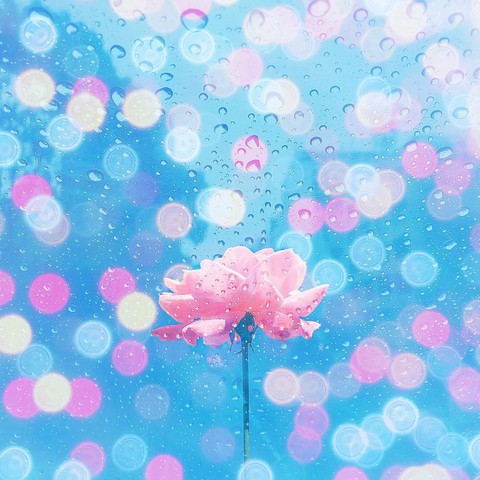 bokeh