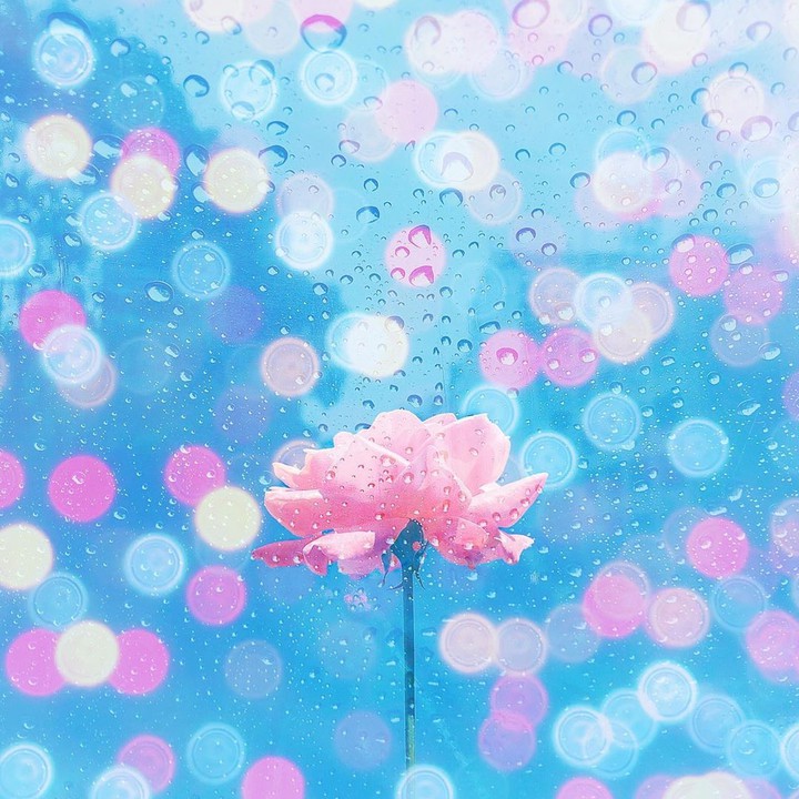 bokeh