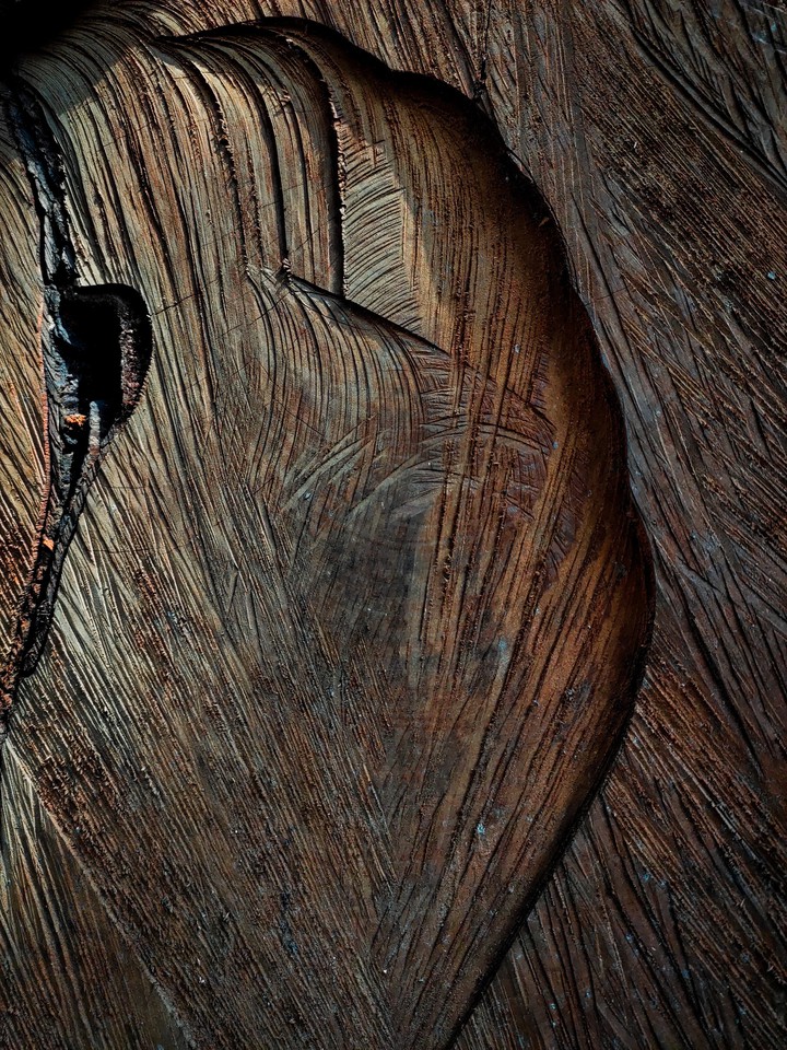 wood