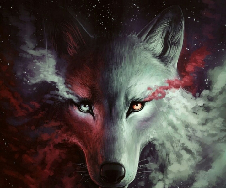 wolf