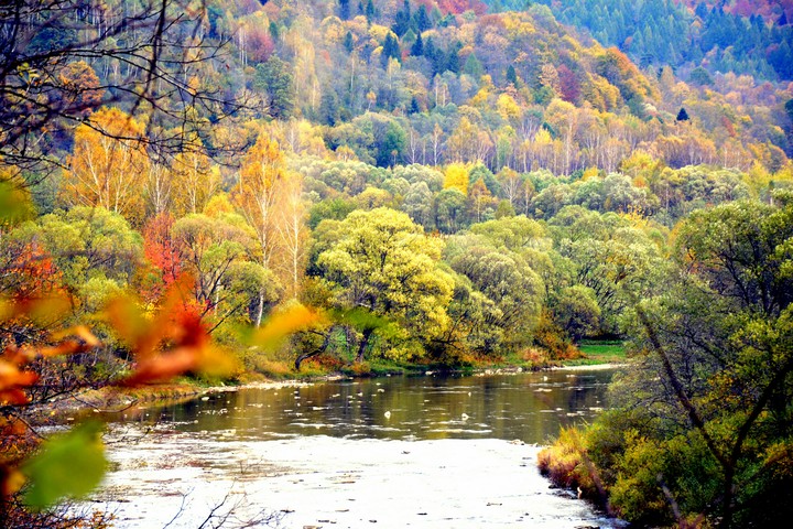 Autumn