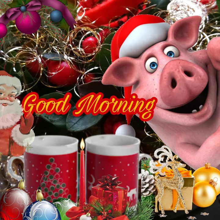 goodmorning my Friend