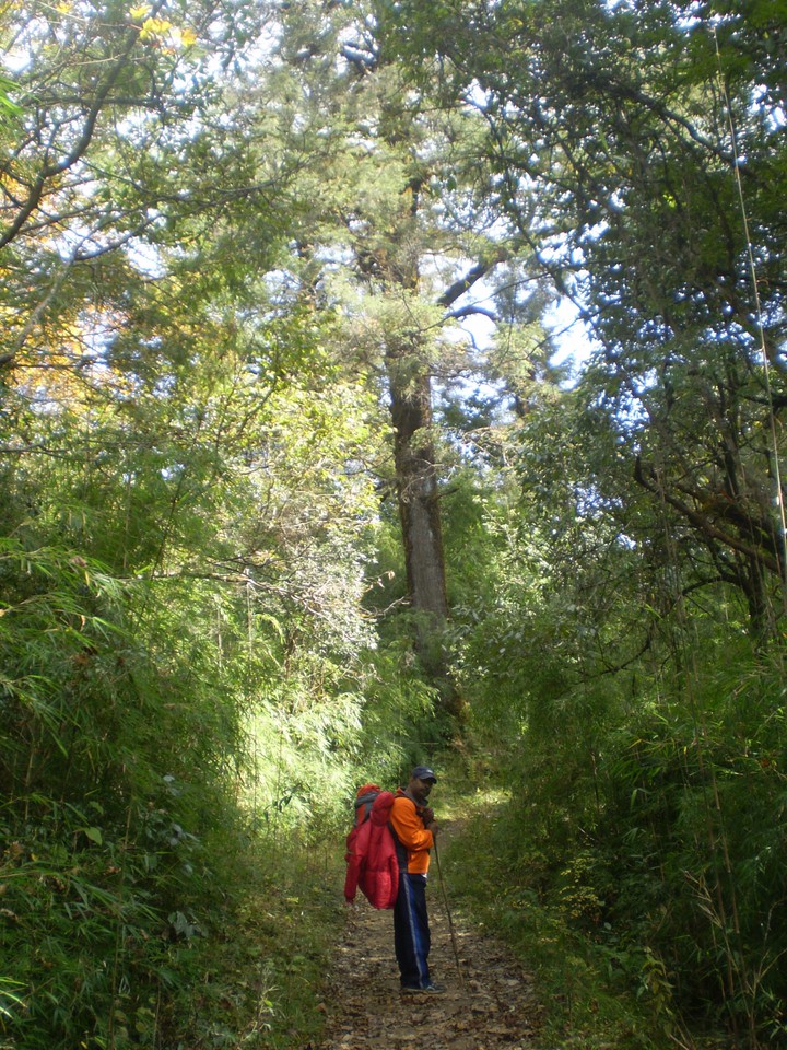 wilderness