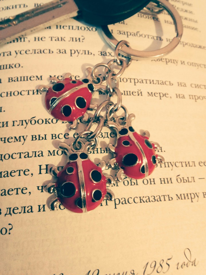 брелок2