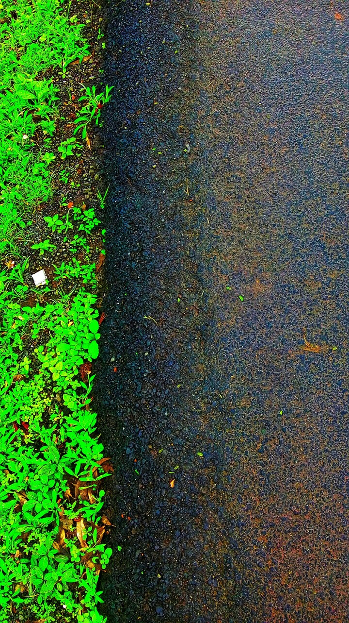 By the Road