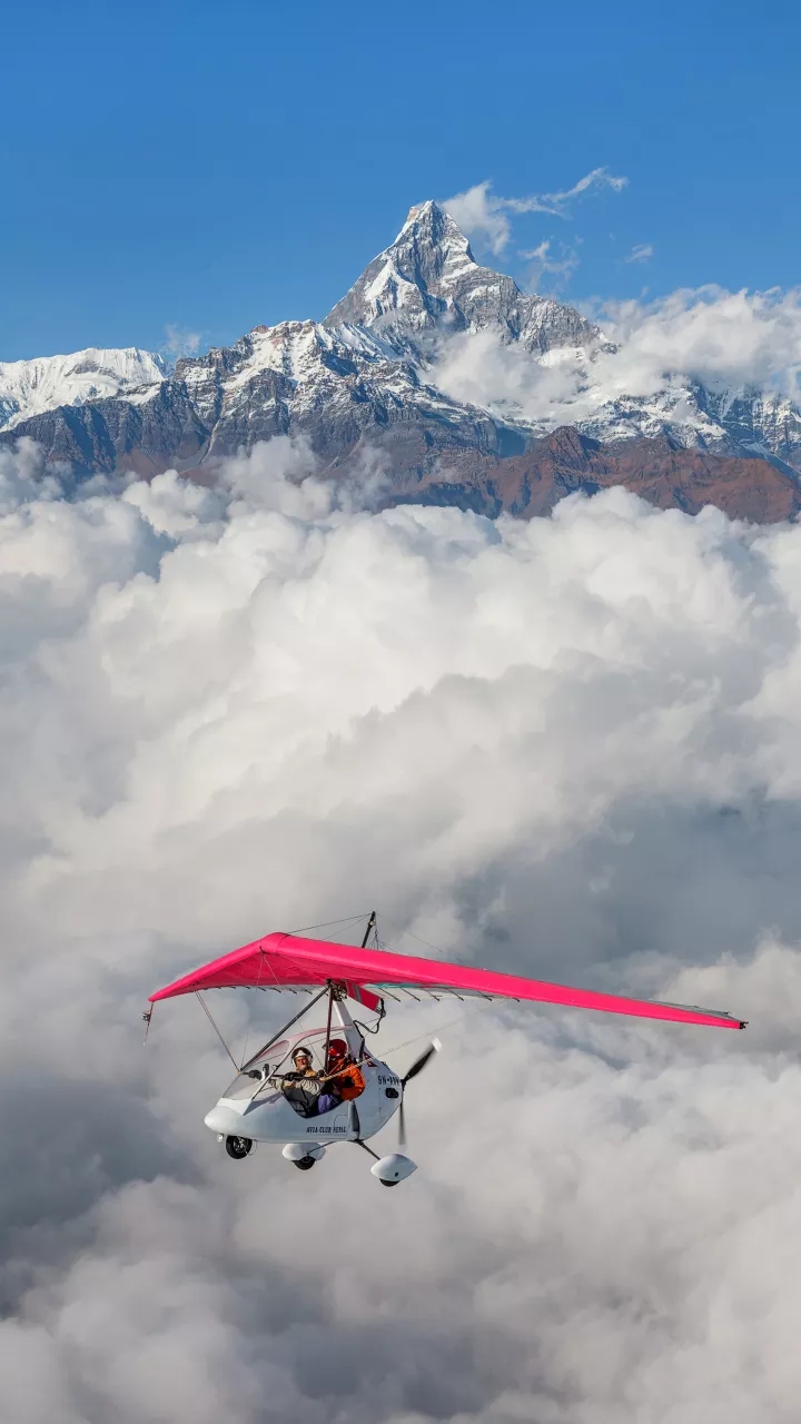 Delta wing aeroplane