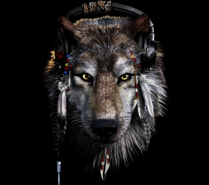 WOLF