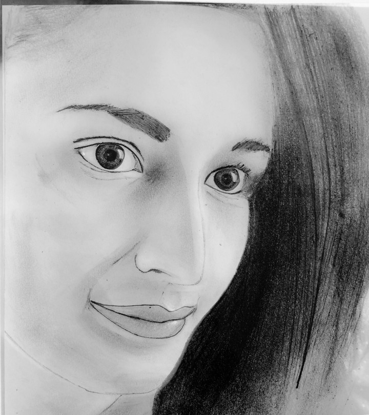 sketch
