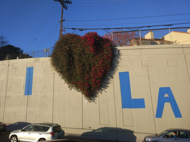 I love Los Angeles