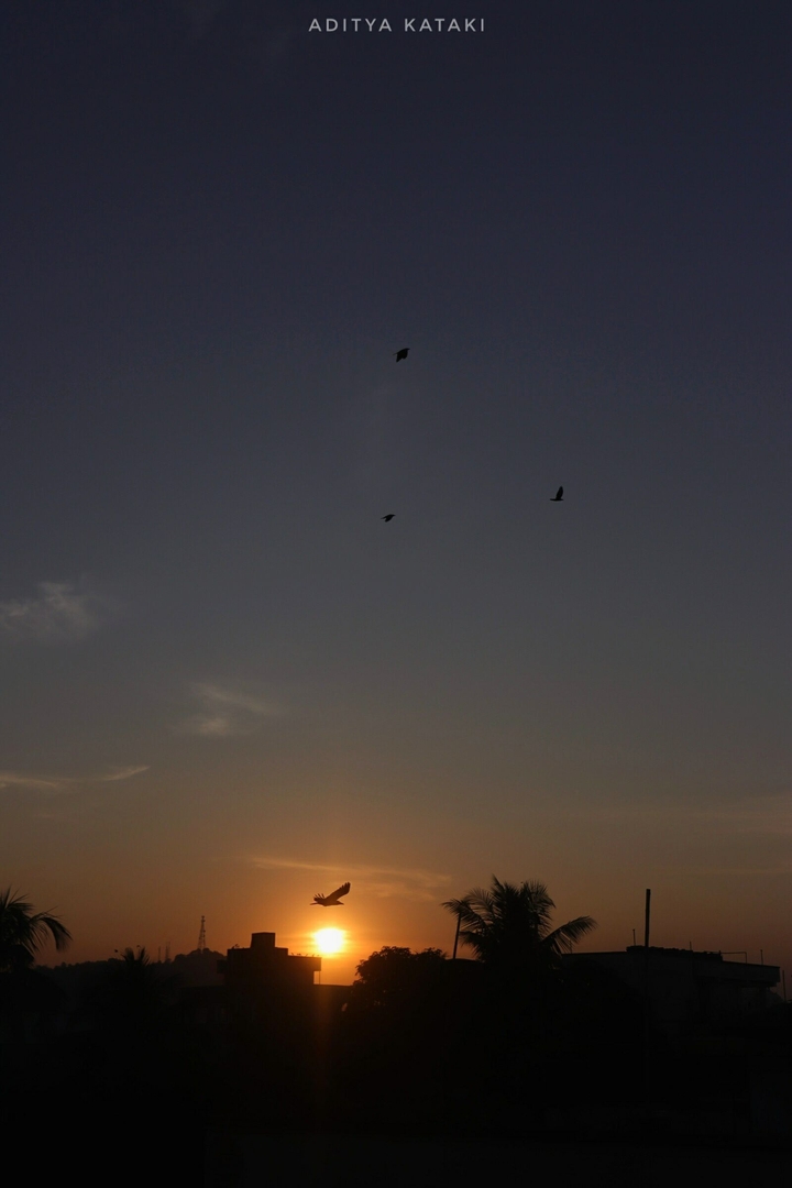 Sunset