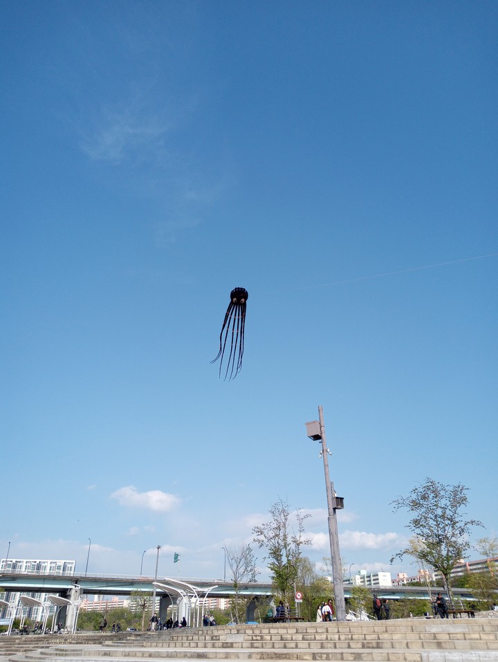 kite
