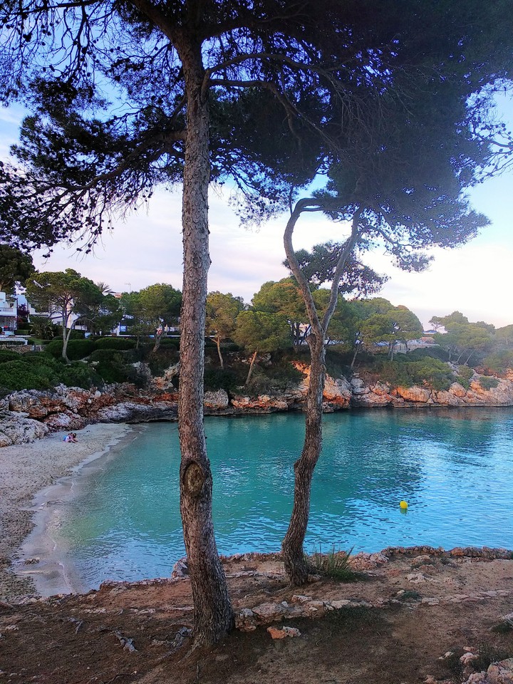 Cala D'OR