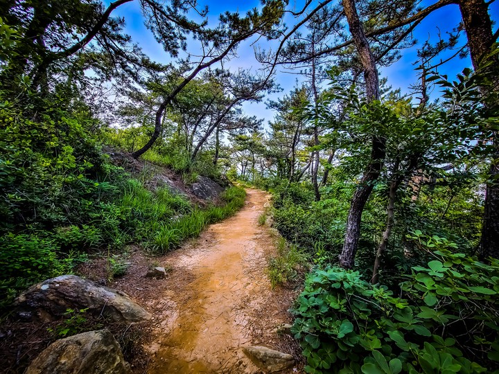 산길