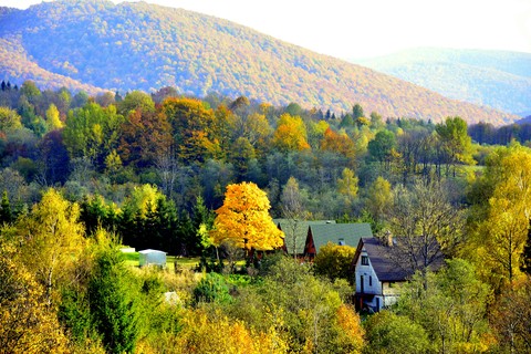 Autumn
