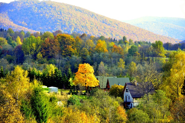 Autumn