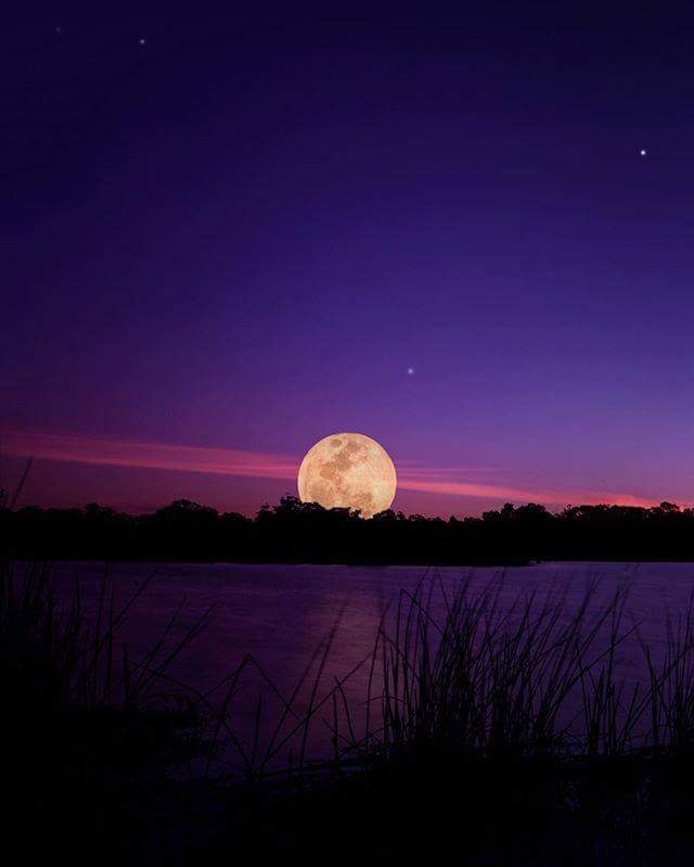 moonlight