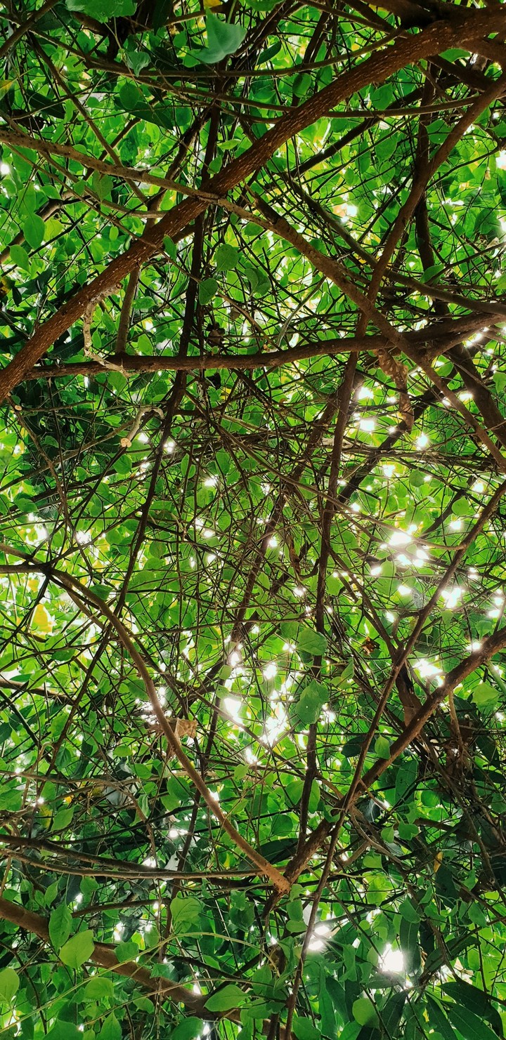 greenery